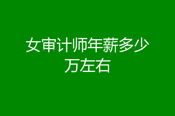 女审计师年薪多少万左右