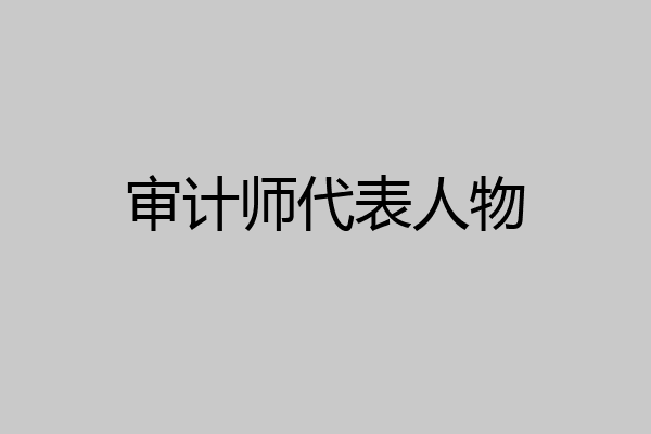 审计师代表人物