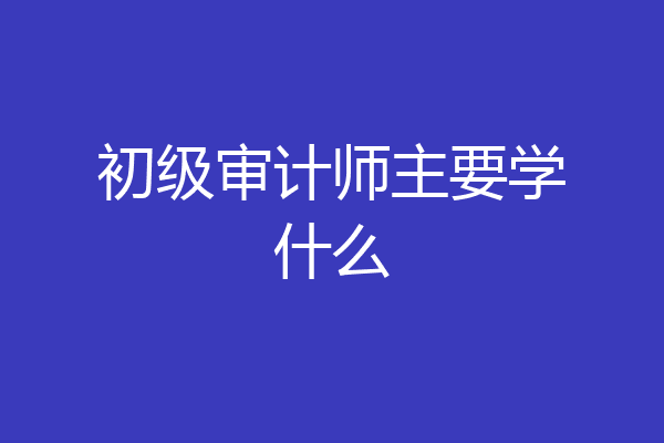 初级审计师主要学什么