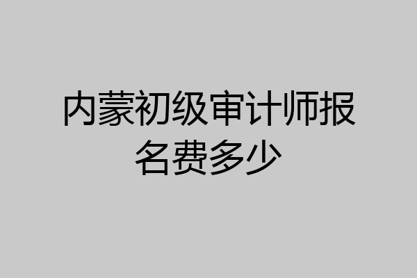 内蒙初级审计师报名费多少