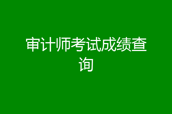 审计师考试成绩查询