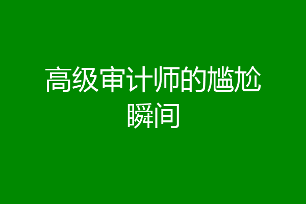 高级审计师的尴尬瞬间