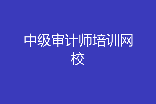 中级审计师培训网校
