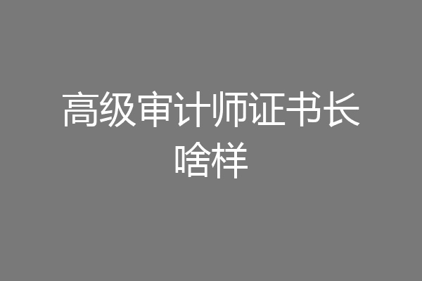 高级审计师证书长啥样