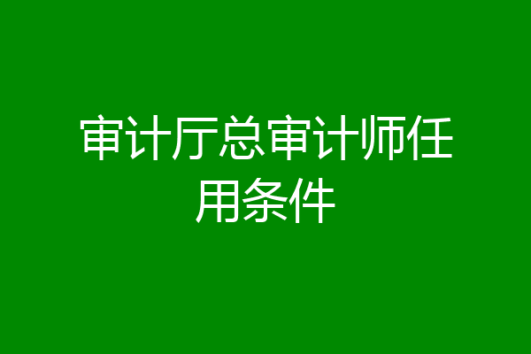 审计厅总审计师任用条件