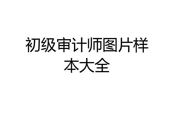 初级审计师图片样本大全