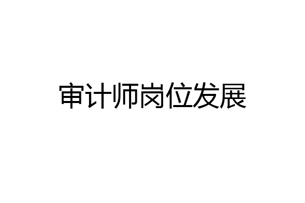 审计师岗位发展
