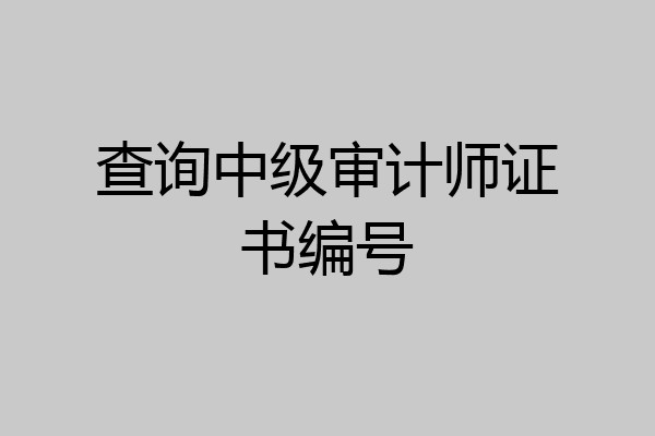 查询中级审计师证书编号
