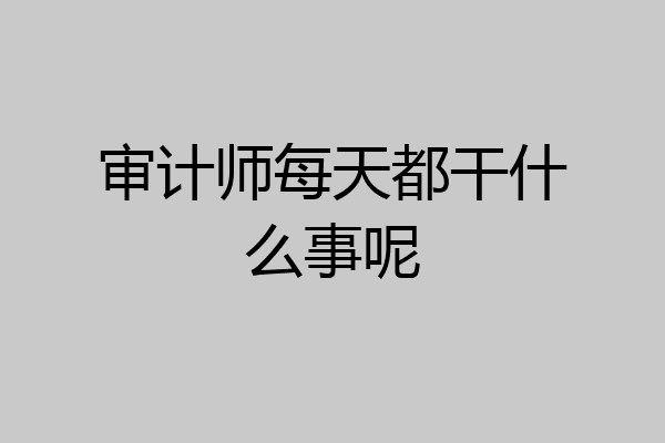 审计师每天都干什么事呢