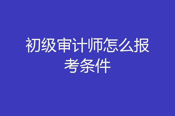 初级审计师怎么报考条件