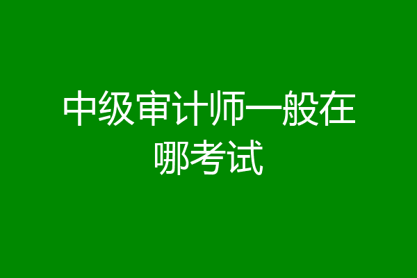 中级审计师一般在哪考试