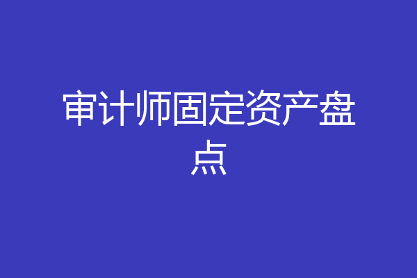 审计师固定资产盘点