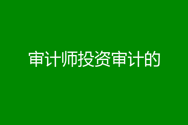 审计师投资审计的