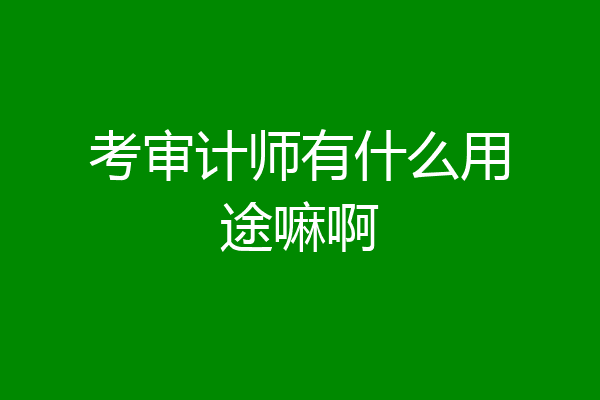 考审计师有什么用途嘛啊