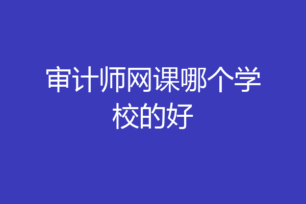 审计师网课哪个学校的好