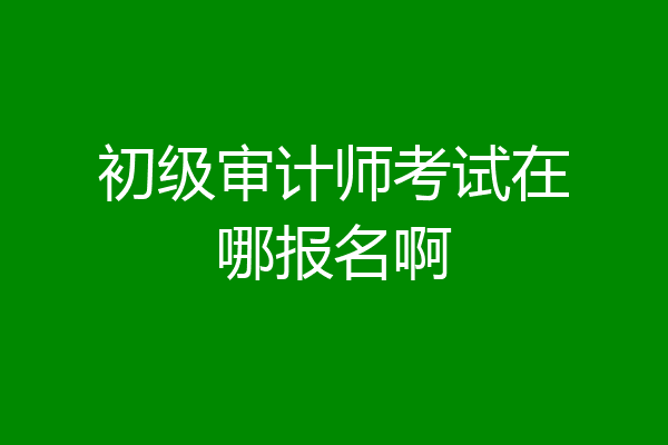 初级审计师考试在哪报名啊