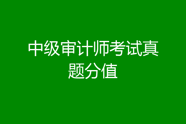中级审计师考试真题分值