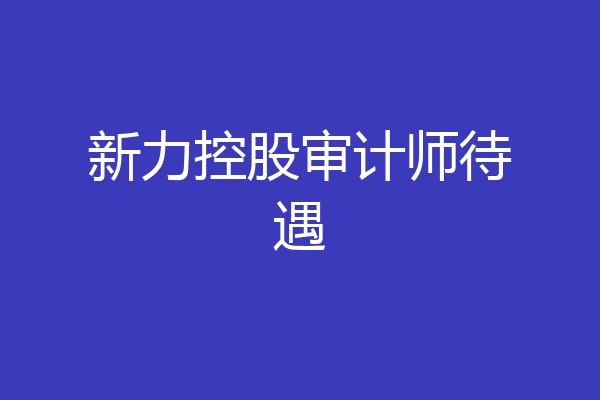 新力控股审计师待遇