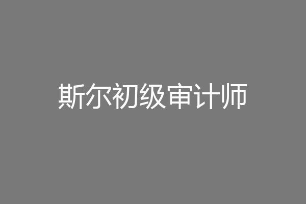 斯尔初级审计师