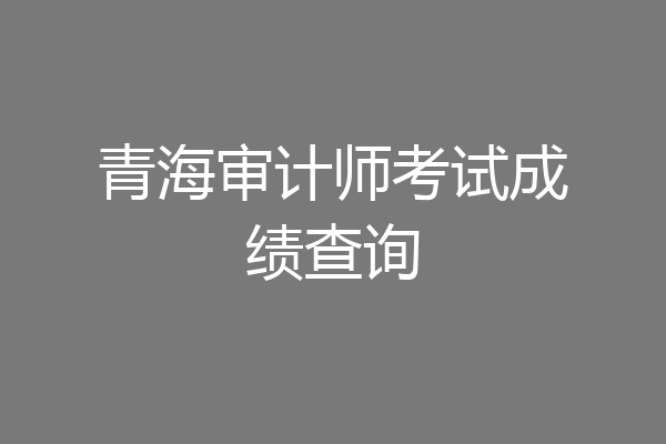 青海审计师考试成绩查询