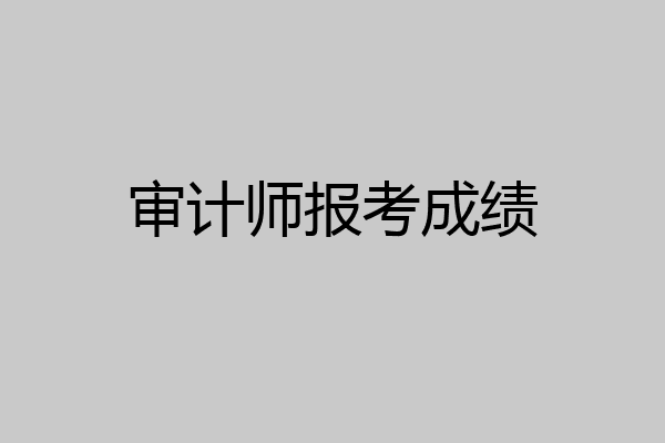 审计师报考成绩