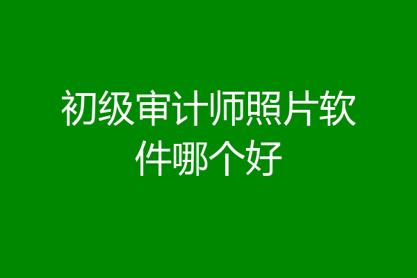 初级审计师照片软件哪个好