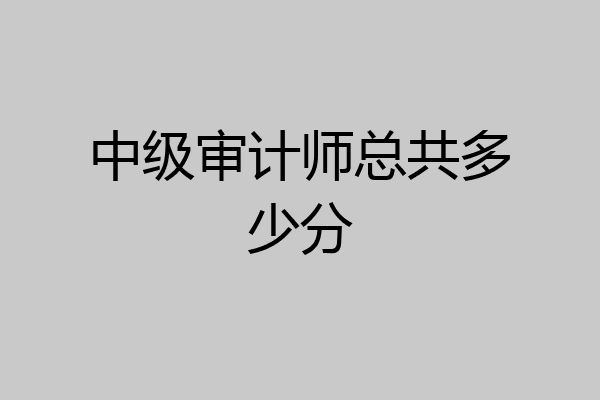 中级审计师总共多少分
