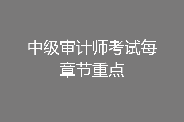 中级审计师考试每章节重点