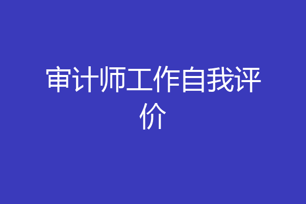 审计师工作自我评价