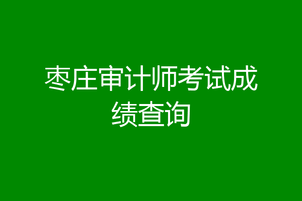 枣庄审计师考试成绩查询