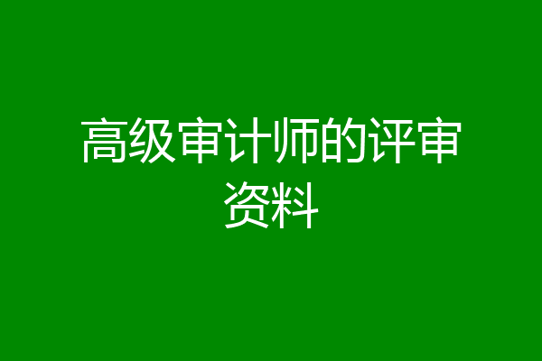 高级审计师的评审资料