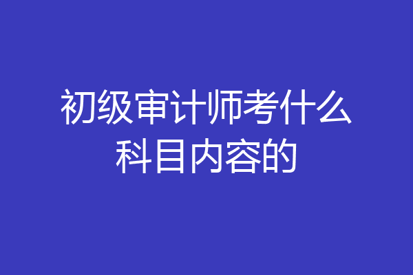 初级审计师考什么科目内容的