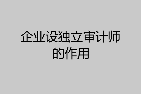 企业设独立审计师的作用