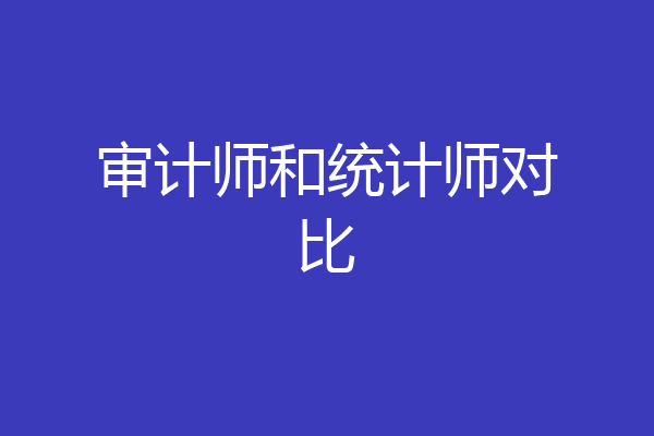 审计师和统计师对比