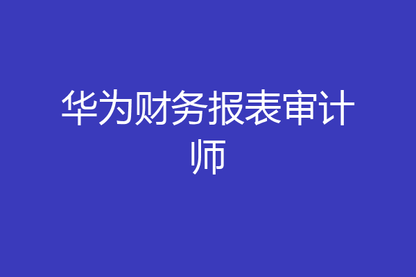 华为财务报表审计师
