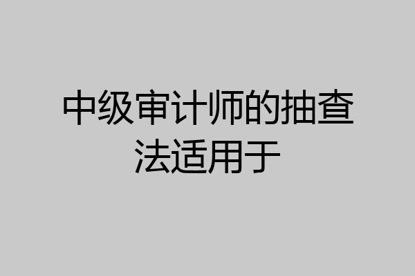 中级审计师的抽查法适用于