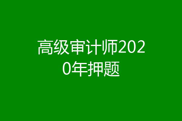 高级审计师2020年押题