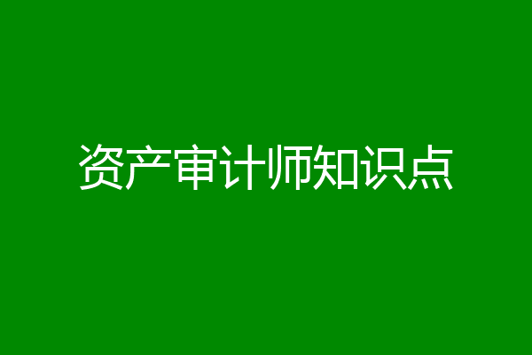 资产审计师知识点