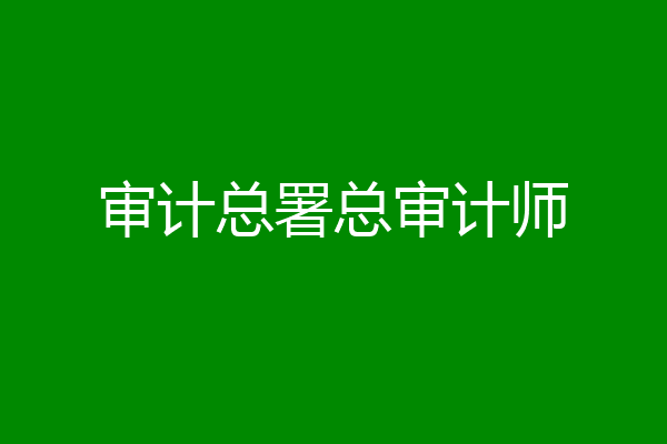 审计总署总审计师
