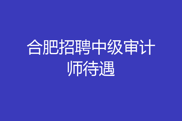 合肥招聘中级审计师待遇