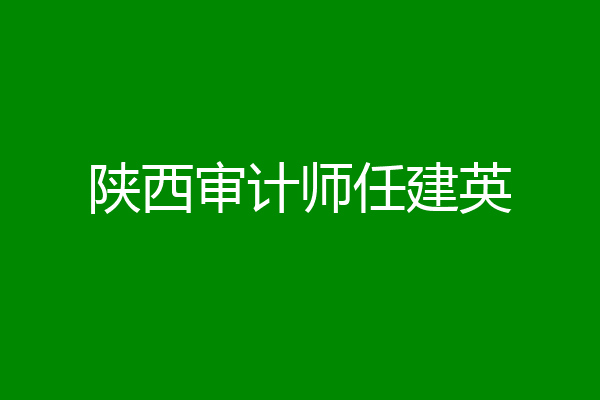陕西审计师任建英