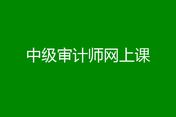 中级审计师网上课