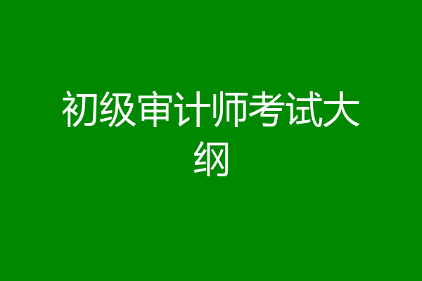 初级审计师考试大纲