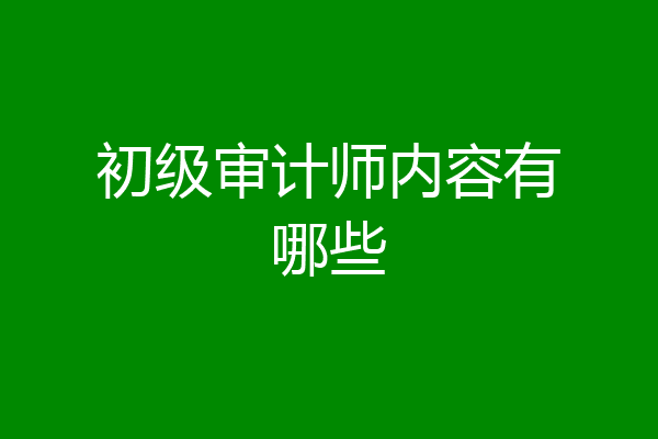 初级审计师内容有哪些