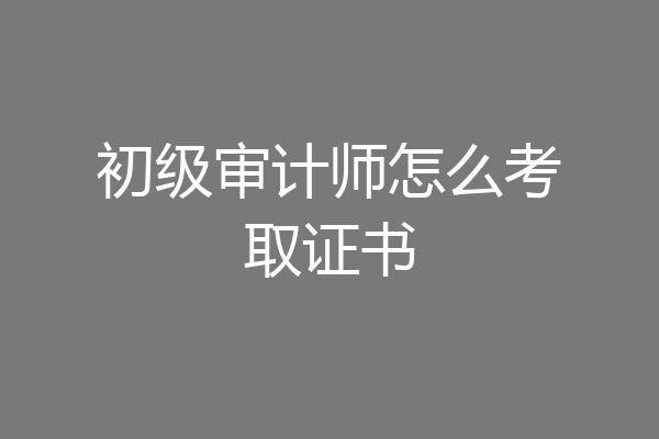 初级审计师怎么考取证书