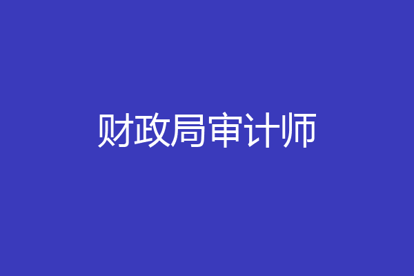 财政局审计师