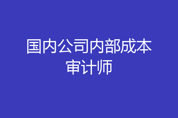 国内公司内部成本审计师