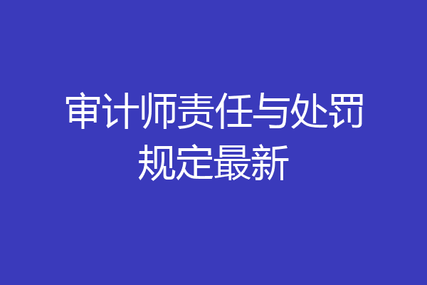 审计师责任与处罚规定最新