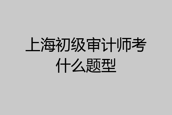 上海初级审计师考什么题型