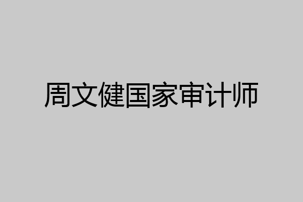 周文健国家审计师